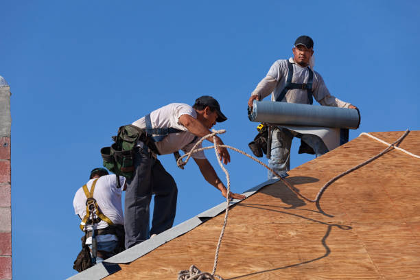 Best Storm Damage Roof Repair  in Hamshire, TX