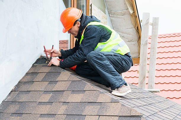 Best Metal Roofing Contractor  in Hamshire, TX
