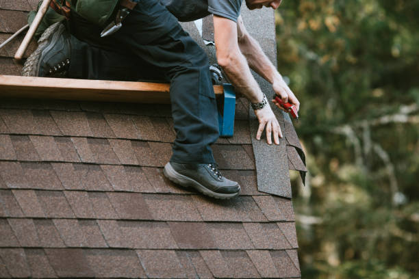 Best Roof Gutter Cleaning  in Hamshire, TX