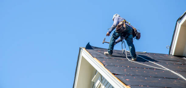 Sealant for Roof in Hamshire, TX